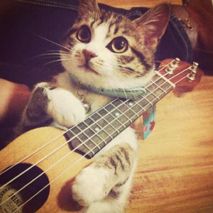 拖👙❌❌❌摸🐻
